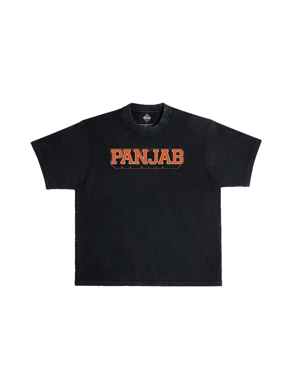 Panjab Varsity T-Shirt